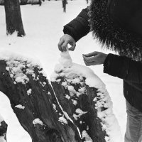 *** :: Сергей Золотавин