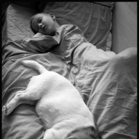 Хранитель снов. :: Борис Яковлев