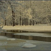 *** :: Aleksandr Gal