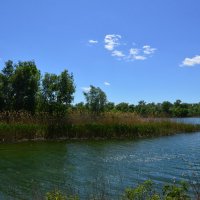 Местная река. :: Виктор 