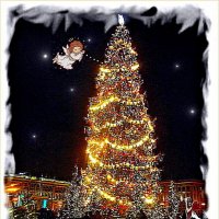 С Рождеством Христовым друзья ! :: Лия ☼