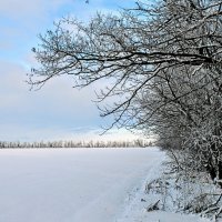 Январь. :: Владимир 