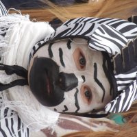 Зебра :: Алла Булашевская