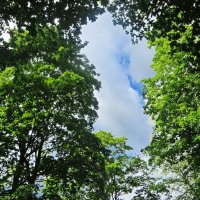 ЛЕТО :: марта Камушкина