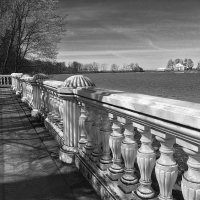 Набережная в Петергофе :: Наталья 