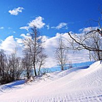 Дыхание весны на протоке Чеускина! :: Владимир 