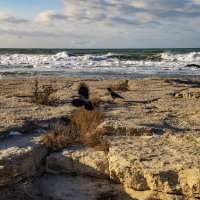 Барег :: Анатолий Чикчирный