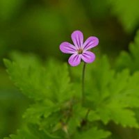 4057 :: Alex . 4057 :: Alex .