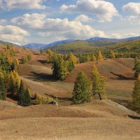 Улаганское плато :: елена беликова