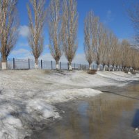 март в парке :: Елена Шаламова