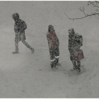 метель не помеха :: Aleksandr Gal