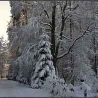 *** :: Aleksandr Gal