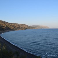 Природа Крыма :: Amazing Cosmea