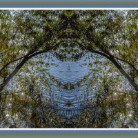 Около водоёма :: Владимир Кроливец