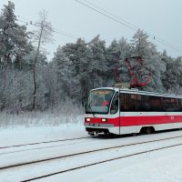 Трамвай в лесу :: Надежда Трамвай в лесу :: Надежда