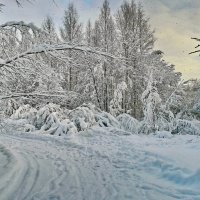 РОЖДЕСТВЕНСКИЕ УЗОРЫ. :: Виталий Половинко