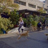 Хайфа 08,01,2026 :: ujgcvbif 