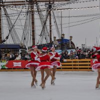 Показательные выступления фигуристов :: Татьяна Машошина