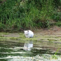 Ожидание :: Валерий Судачок