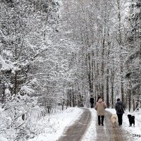 природа шепчет :: Олег Лукьянов