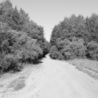 Фотография :: Денис Безногов