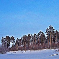 Январь...Спящая протока! :: Владимир 