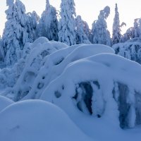 Сугробы :: Евгений Тарасов 