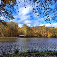 ---------------- :: igor G.