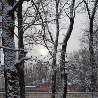 *** :: Валентина Береснева