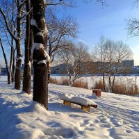 В парке солнечным днём :: Мария Васильева