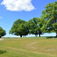 Донские виды. :: Виктор Донские виды. :: Виктор