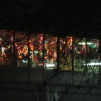 Новогодние огни :: Дмитрий Никитин