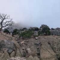 Крым, Новый Свет, декабрь 2025 :: Екатерина Леш