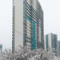 Зима в одежды белые одела всё вокруг! :: Лилия *