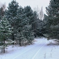 зима :: Владимир Зеленцов зима :: Владимир Зеленцов