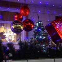 На террасе :: PRP 