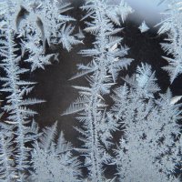 Чудо-витражи раскинула волшебница - Зима... :: Надежда Куркина Чудо-витражи раскинула волшебница - Зима... :: Надежда Куркина