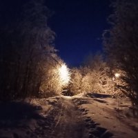В ночь перед Рождеством :: Виктор 