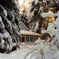 Избушка :: Наталья 