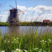 Свежий ветер :: Валерий Готлиб