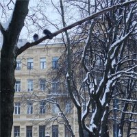 слабая надежда :: sv.kaschuk слабая надежда :: sv.kaschuk