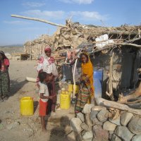 Афарские девчата в большом количестве. :: unix (Илья Утропов) Афарские девчата в большом количестве. :: unix (Илья Утропов)