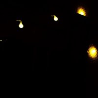 Жена снимала. Гирлянда. :: Василий Палий Жена снимала. Гирлянда. :: Василий Палий