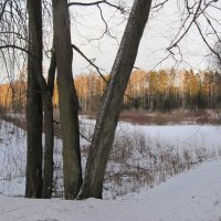 Павловский парк :: Наталья Герасимова Павловский парк :: Наталья Герасимова