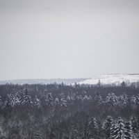 Деревня Борис-Глеб в Клинском районе Московской области :: fogmeadowww m