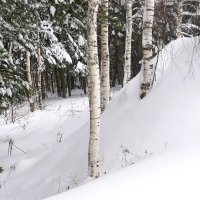 Зима за городом :: Татьяна Тюменка Зима за городом :: Татьяна Тюменка