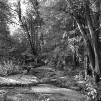 Фотография :: Денис Безногов