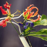 они на радость нам даны :: Олег Лукьянов они на радость нам даны :: Олег Лукьянов