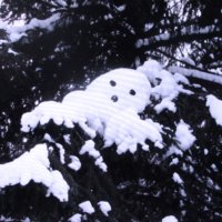 Глазастик :: Людмила Смородинская