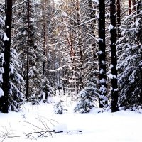 *** :: Александр 